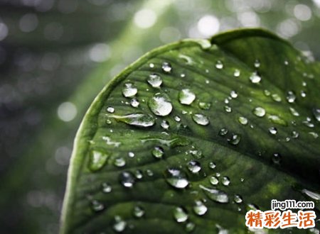 经典的个性qq昵称，超拽狠心的个性网名