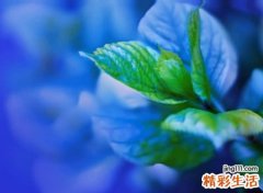 网络最流行的网名大全，独特简单的个性名字