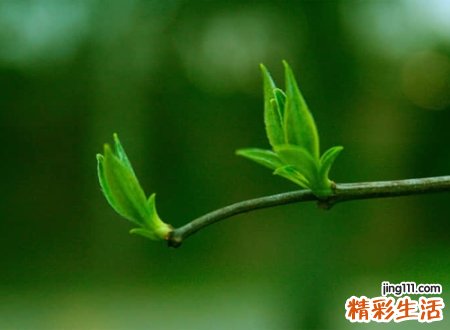 颓废忧伤的心情昵称，消极伤感的个性网名