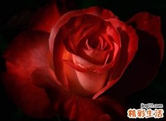 有情趣逗乐的抖音名字，抖音最皮诙谐的网名