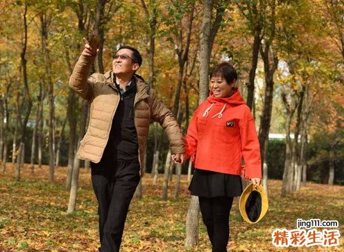 属羊的和属狗的相配吗