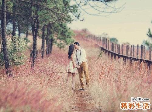 属猴和属蛇相配吗