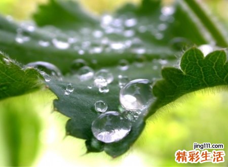 风度网名，最新好听的风度昵称