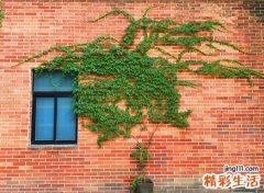 身上放什么招偏财