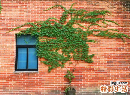 身上放什么招偏财