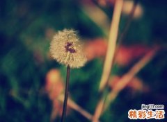 深度网名，最新好听的深度昵称