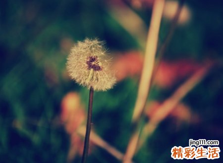 深度网名，最新好听的深度昵称