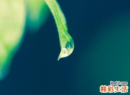 骂人网名，最新有个性的骂人昵称