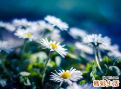 陌陌昵称，最新好听的陌陌名字