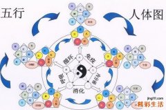 怎样知道木命人五行缺什么？揭秘木的五行特性