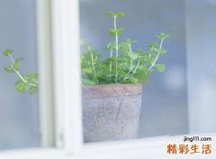 初恋网名，最新好听的初恋昵称