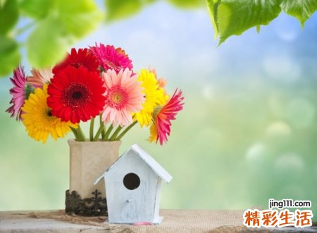 宠物名字，最新好听的宠物昵称