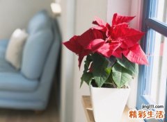 昵称网名，最新好听的名字
