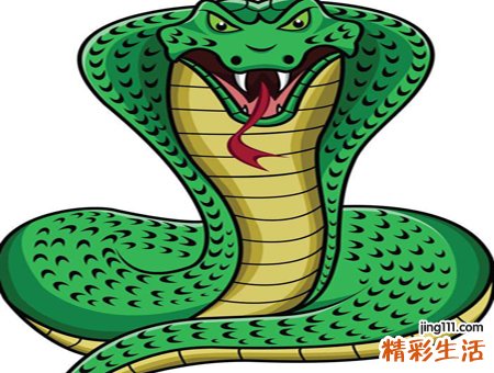 梦见好多蛇有什么预兆，女人做梦梦到好多蛇