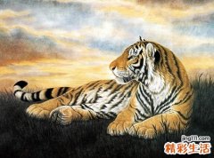 梦见老虎咬我好不好，女人梦见自己被老虎咬