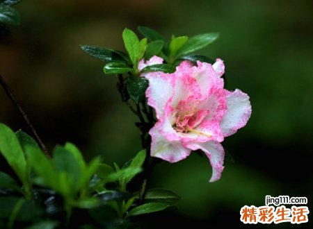 空间名称，最新好听的空间名字