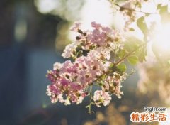 2字网名，最新好听的2字昵称