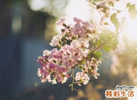 2字网名，最新好听的2字昵称