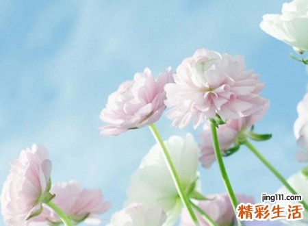 5字网名，最新好听的5字昵称