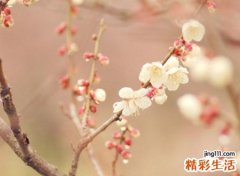 四个字网名，最新好听的四个字昵称