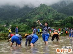 孕妇梦见抓鱼好不好，孕妇梦到抓鱼是男是女