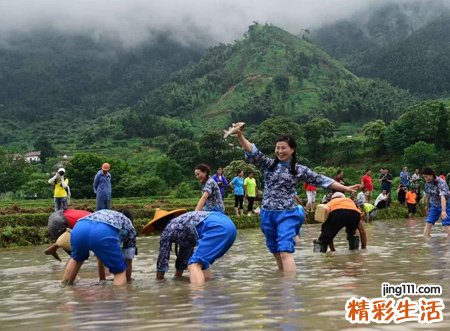 孕妇梦见抓鱼好不好，孕妇梦到抓鱼是男是女
