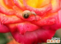 三个字昵称，最新好听的三个字名字