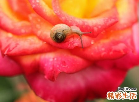 三个字昵称，最新好听的三个字名字
