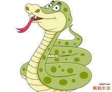 属蛇1953多少岁 属蛇几月出生好
