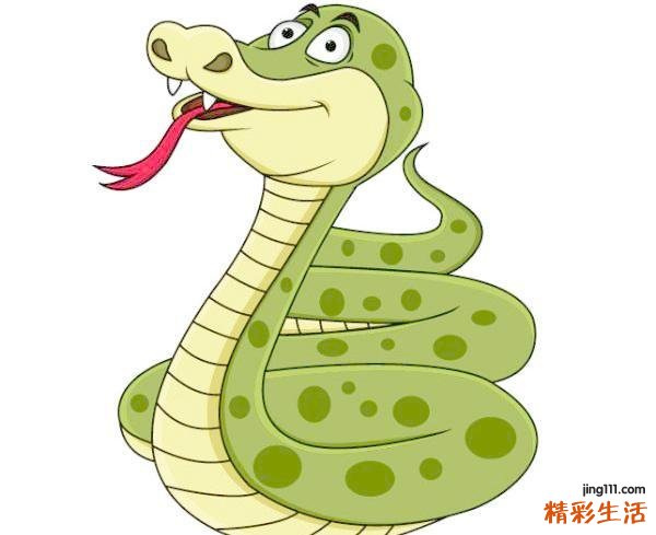 属蛇1953多少岁 属蛇几月出生好