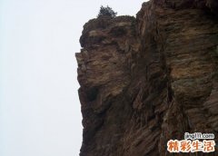 梦见悬崖是什么意思，做梦梦到在悬崖边没掉下去