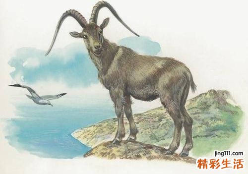 67年属羊天河水命缺什么 67年属羊天河水命佩戴什么好