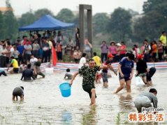 梦见别人抓鱼是什么意思，做梦梦到看别人在水里抓鱼