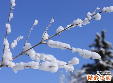 梦见大雪是什么意思，女人梦见大雪纷飞