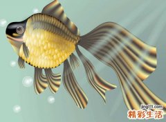 梦见好多死鱼是什么意思，女人梦见好多死鱼