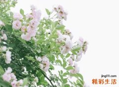 7个字网名，最新好听的7个字昵称