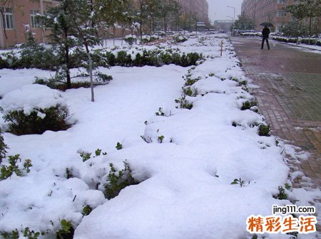 梦见雨夹雪有什么寓意，女人梦见下雨又下雪
