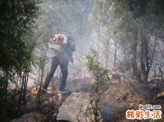 梦见坟地是什么意思，做梦梦到经过一片坟地
