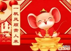 正月属鼠人的运势 2022全年属鼠的人命运如何