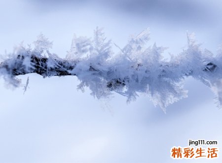 qq好网名，最新好听的qq个性昵称