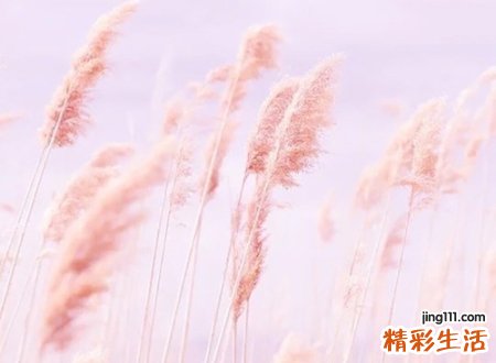空间名称大全，最新好听的空间网名