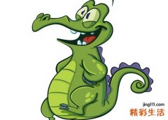 梦见大鳄鱼有什么预兆，梦到水里有大鳄鱼