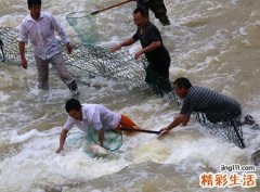 梦见捞鱼是什么意思，做梦梦到捞鱼有死鱼有活鱼