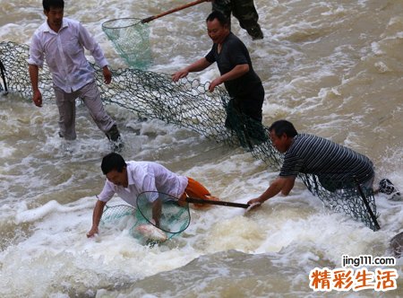 梦见捞鱼是什么意思，做梦梦到捞鱼有死鱼有活鱼