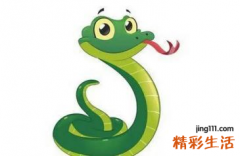 属蛇一生有几次婚姻 属蛇人一辈子的克星是什么属相