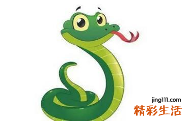 属蛇一生有几次婚姻 属蛇人一辈子的克星是什么属相
