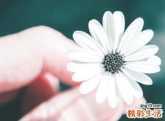 3个字的昵称，最新好听的3个字名字