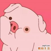 丙子日柱的富贵八字是哪些