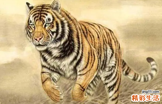属虎本命年要佩戴什么 属虎本命年有什么讲究和禁忌
