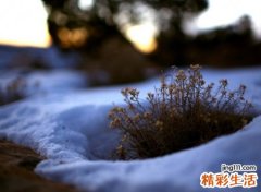 伤感qq昵称，最新好听的伤感qq名字